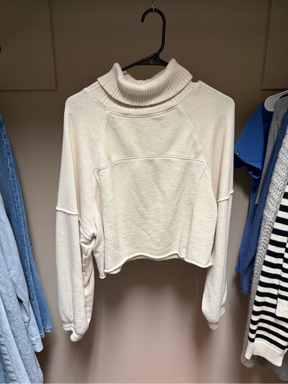 aerie Cream Cropped Turtleneck Sweater